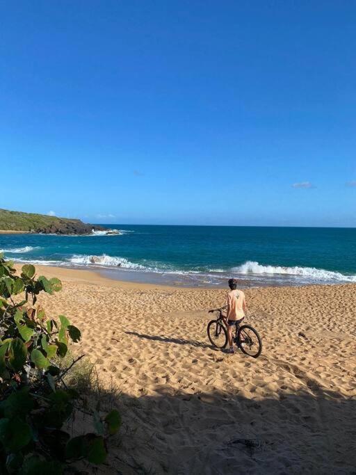 Sunset View Apartment In A Great Location Fajardo Extérieur photo