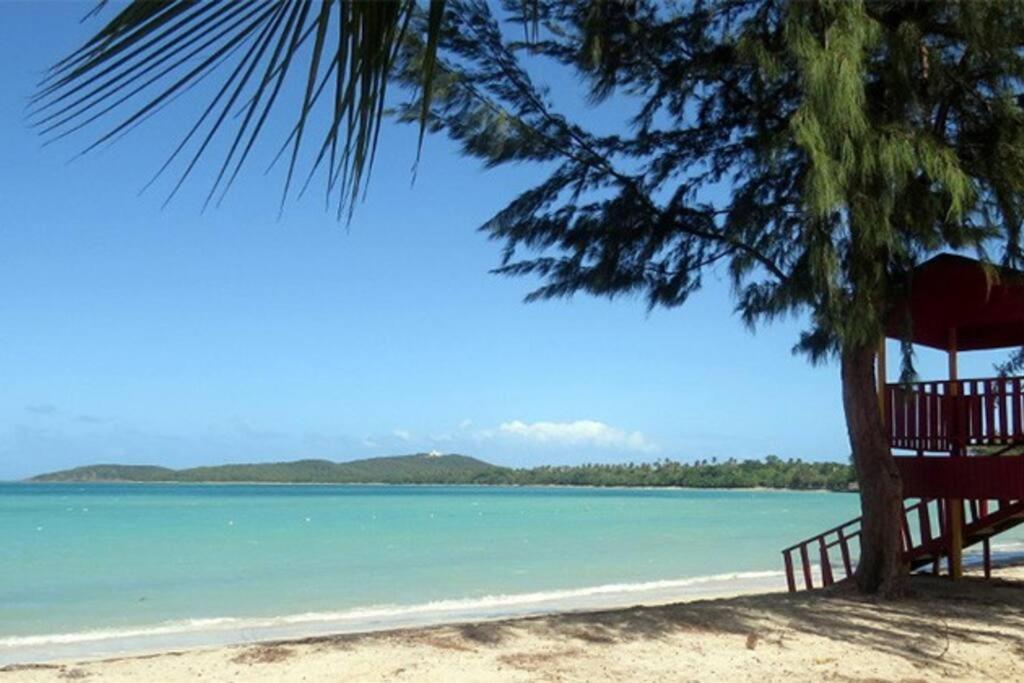 Sunset View Apartment In A Great Location Fajardo Extérieur photo